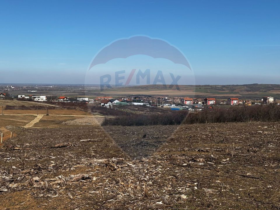 Land 618sqm Paleu / Strada Piersicilor