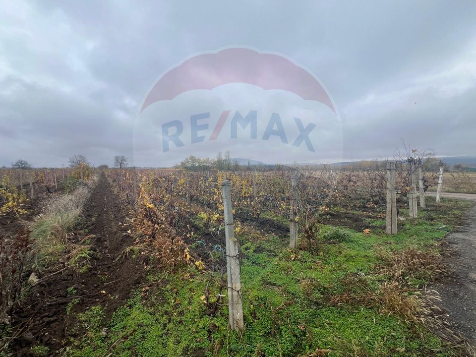 Teren intravilan 2727mp Carligele / Strada Tulceanu