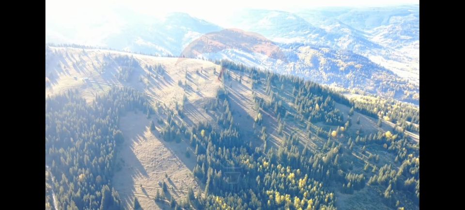 Teren 47,732mp Panaci / Strada MIhailet