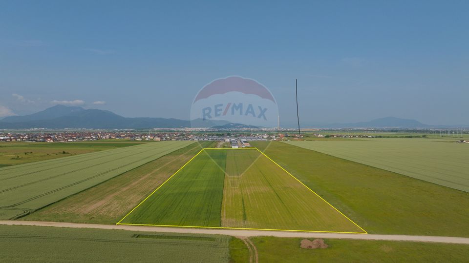 Teren 42,000mp Tarlungeni / Strada Izvor