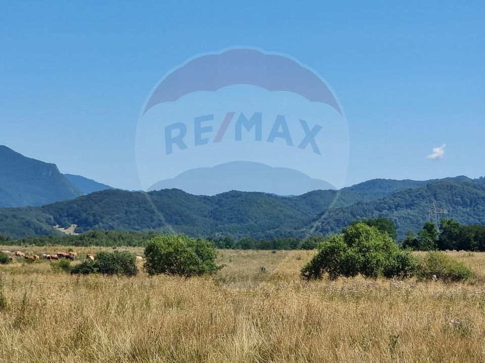 Land 16,391sqm Rasnov / Est