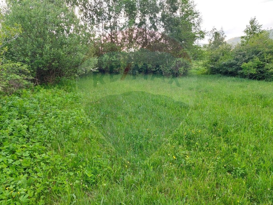 Land 4,223sqm Zarnesti / Strada Tohanita