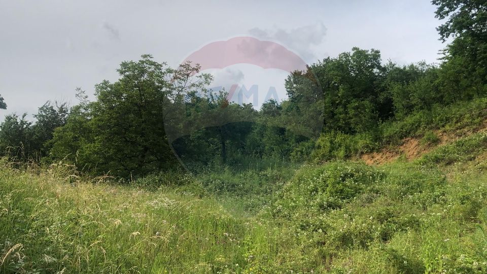 Teren 2,868mp /case/ duplexuri /Baia Mare / Strada Sanatatii Panoramic