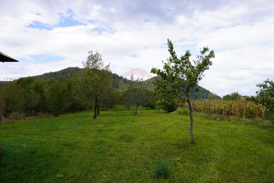 Teren 7968 mp Sighetu Marmatiei / Strada Lazu Baciului