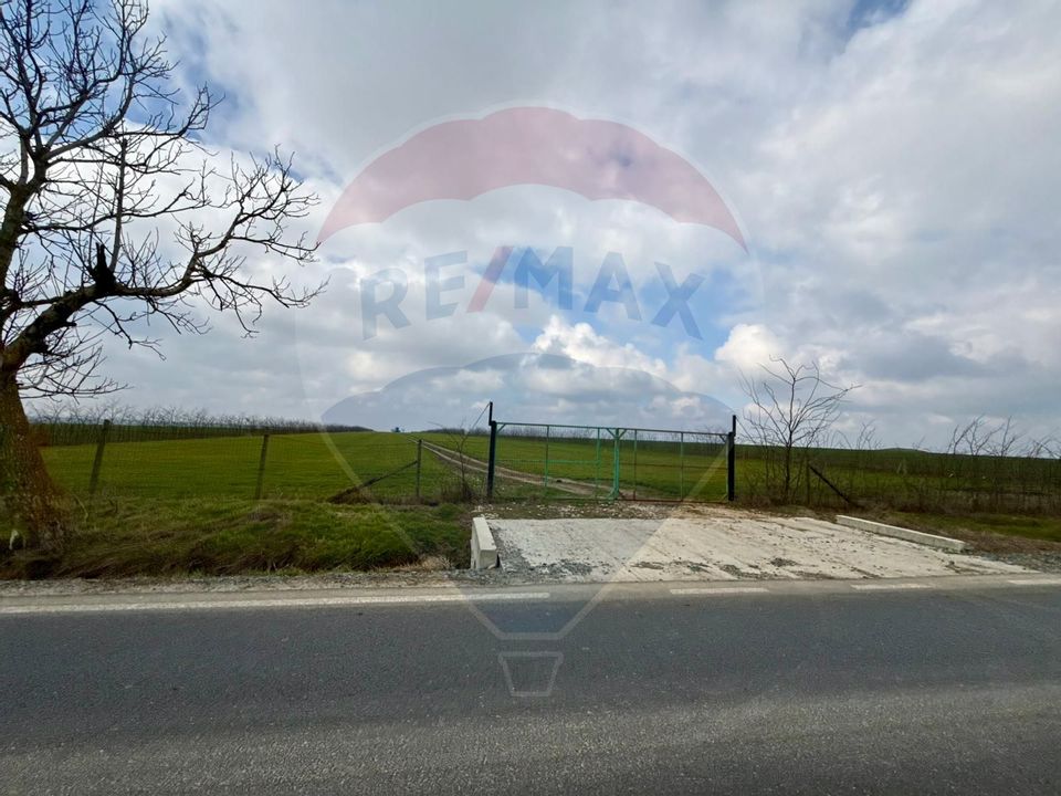 Teren extravilan Săcele ideal pentru silozuri, fermă sau investiție