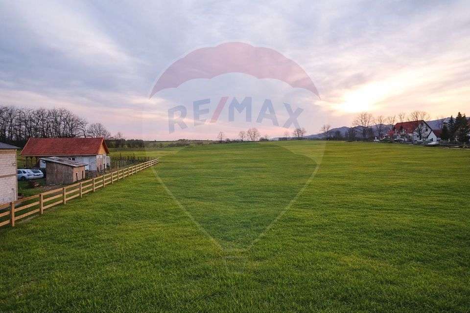 Teren de vanzare 4000 de mp Vintu de jos