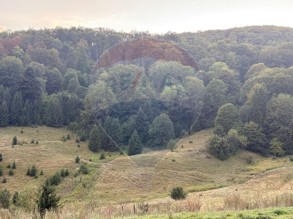 TEREN EXCLUSIV PENTRU INVESTIȚIE ÎN ZONĂ DE AGREMENT – BRAȘOV, DN 1E