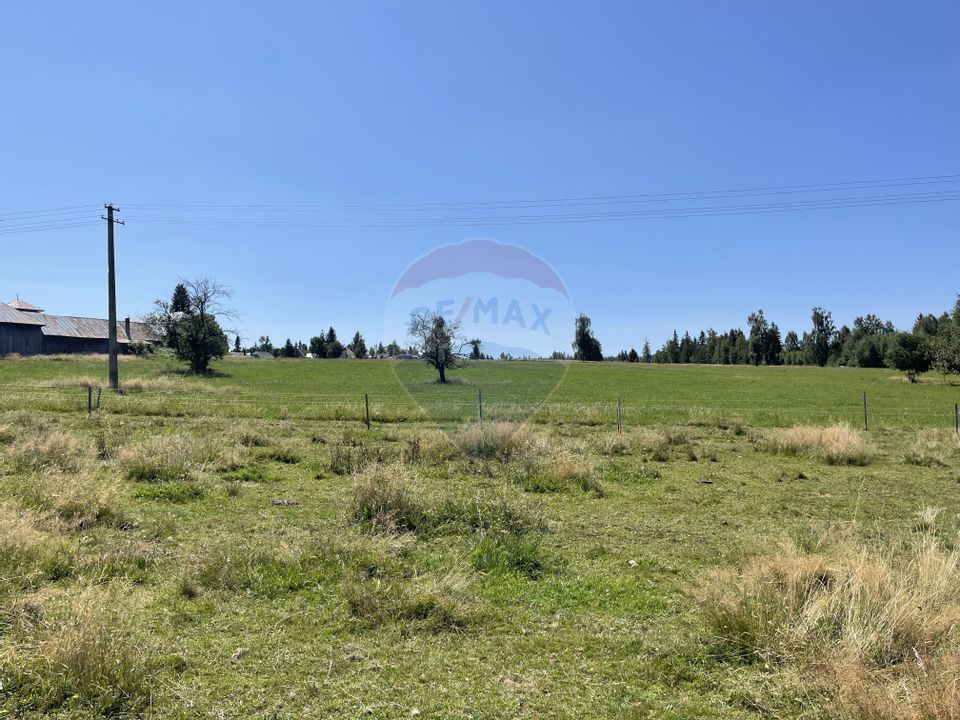 Land 98,610sqm Dealu Negru / Strada Primcipala