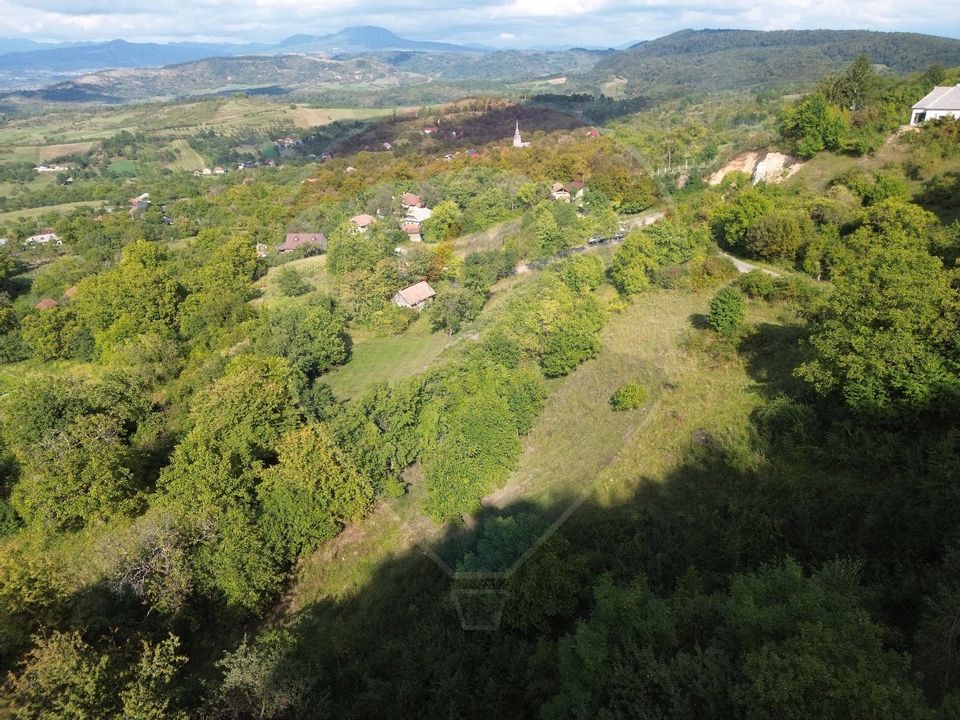 Land 5,000sqm Magureni / Strada Principală
