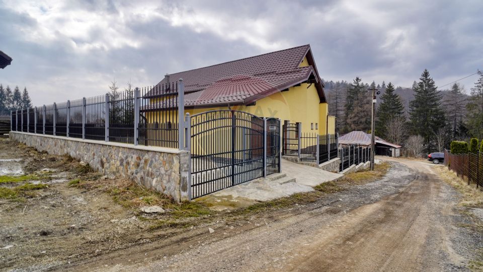 8 room House / Villa for sale, Malul Ursului area