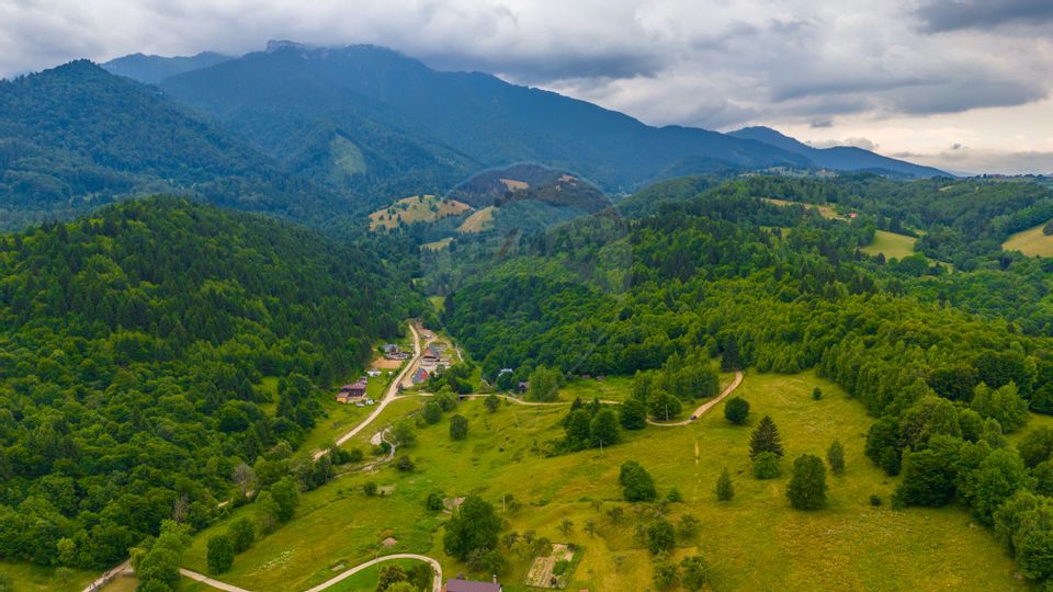 Land 2,410sqm Bran / Strada Pănicer