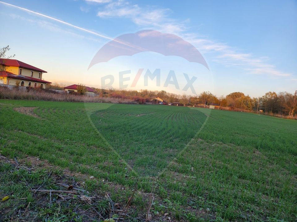 Land plots 1,000sqm Ciolpani / Catunului Street near the forest