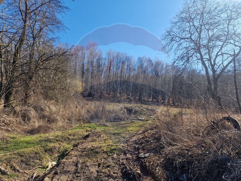 Land 4,985sqm Sascut / None