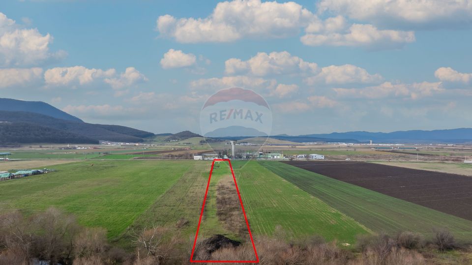 Land 10,000sqm Codlea / Strada Halchiului