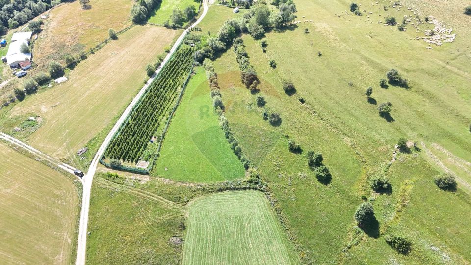 Land 2,432sqm Zarnesti / Strada fara nume