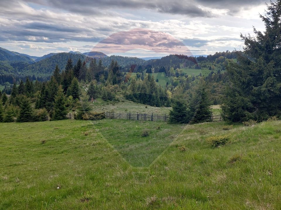 O fereastră către cer – teren de vis în Fundata, la poalele Bucegilor