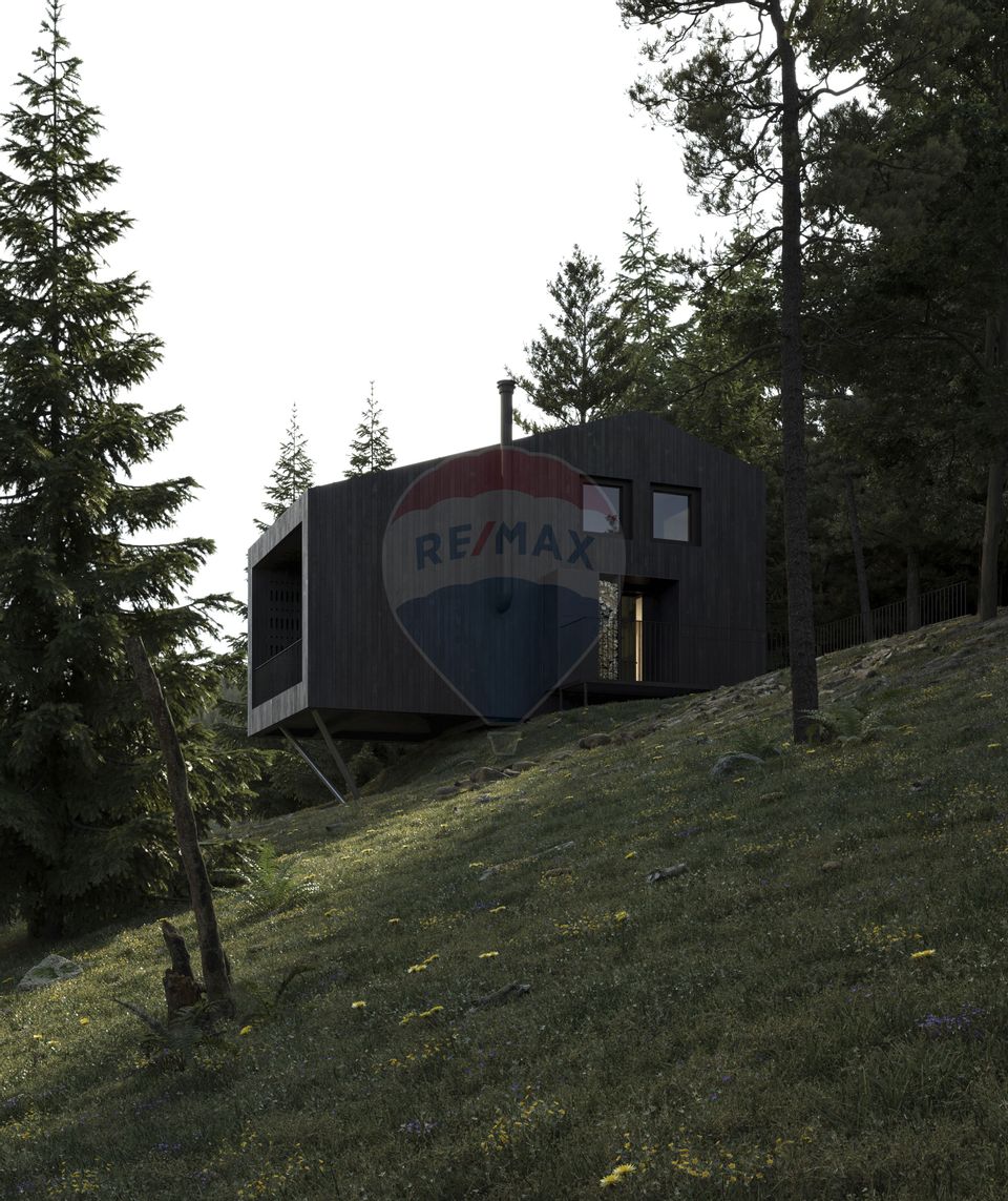 Doua case la munte, cu vedere superba, localizate in Poiana Marului