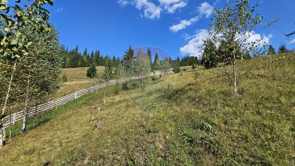 Casă / Vilă de vacanta in Dorna Arini, Suceava