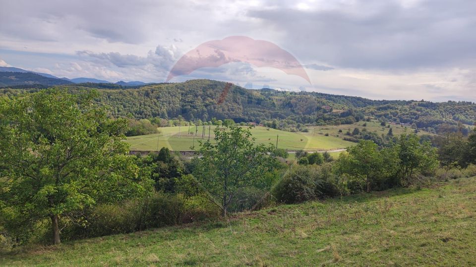 Teren intravilan constructii 3082 mp Damis Bratca drum DJ 764D