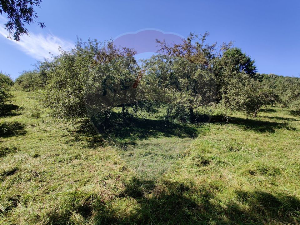 Teren intravilan in Remetea Chioarului