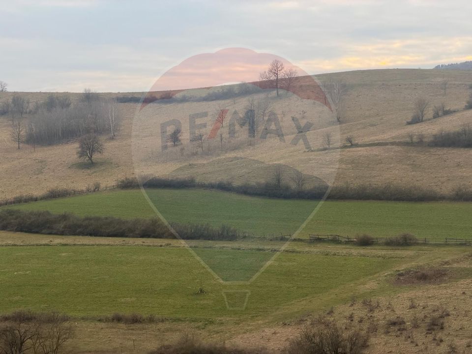 Land 3,400sqm Criseni / Strada principala