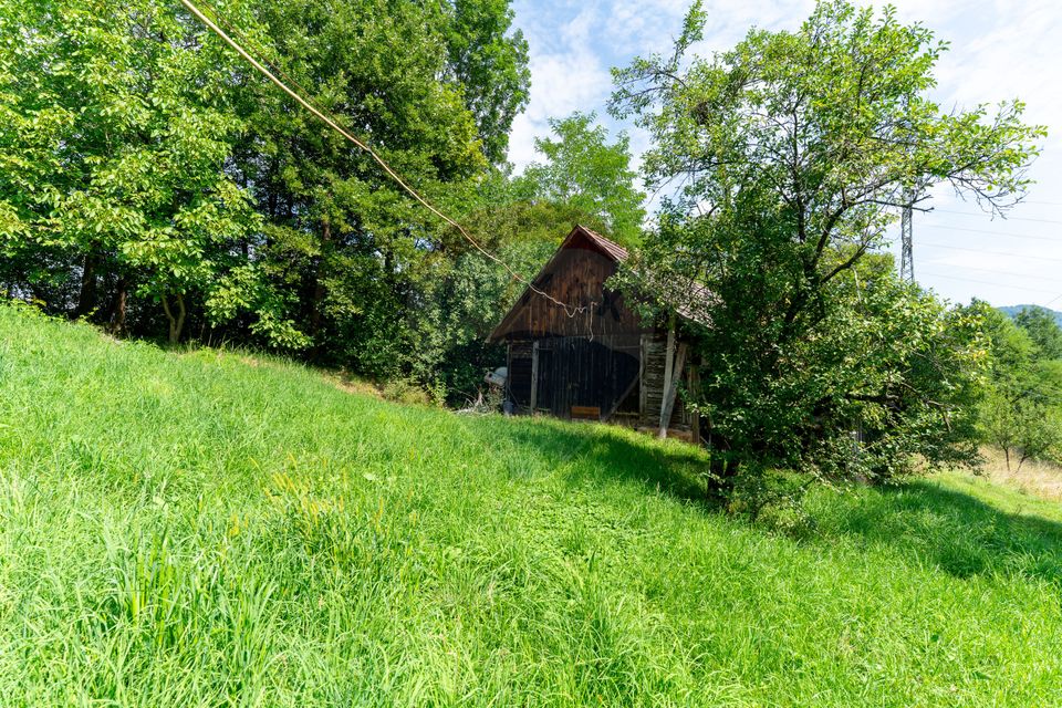 Casă / Vilă cu 3 camere de vânzare