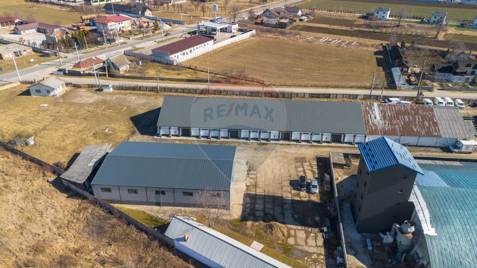 Hale industriale de închiriat în Tg Neamț