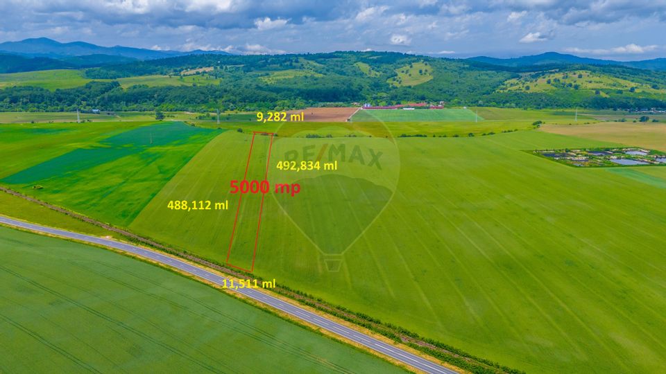 Land 5,000sqm Rasnov / Strada Fara Nume