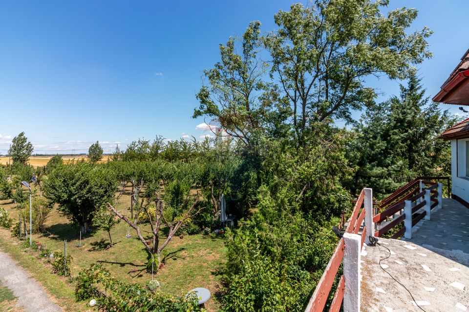 Casa+Laborator+ Teren 12.700 mp + casa de vacanta - Bolintin Vale