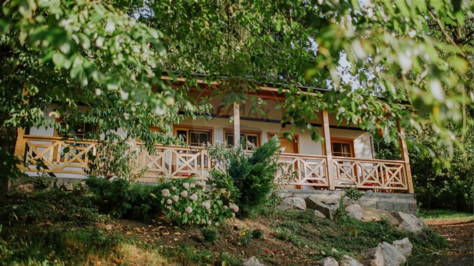 Spectacular property with business for sale - Sighișoara