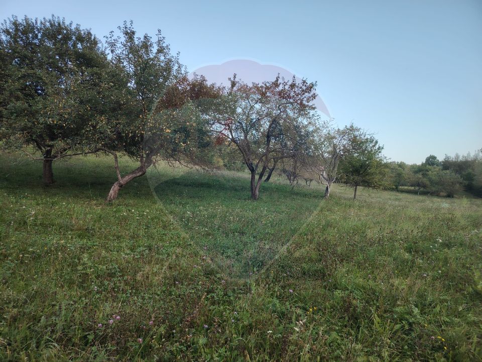 COMISION ZERO - Teren 2339 mp in Barsana