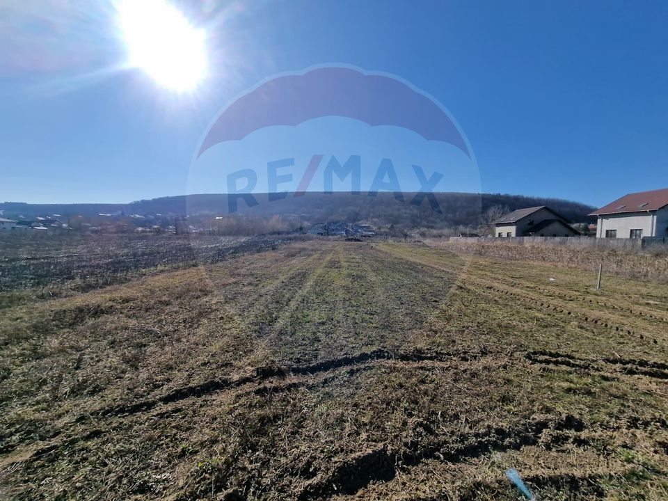 Teren Intravilan de Vânzare în Hemeiuș