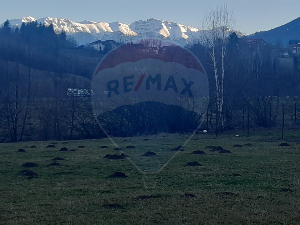 Teren 1,404mp Zarnesti / Strada FN