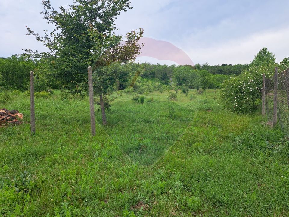 Teren Silistea Snagovului 500 mp apropiere padure