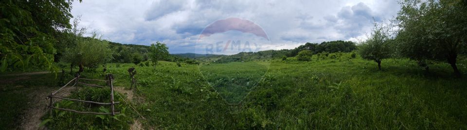 Land 11,935sqm Podis / Strada Dubas