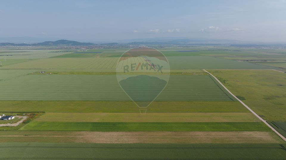 Teren 42,000mp Tarlungeni / Strada Izvor