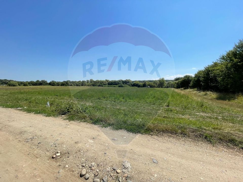 TEREN  INTRAVILAN  5000mp ORAS CISNADIE  STR. SELIMBARULUI