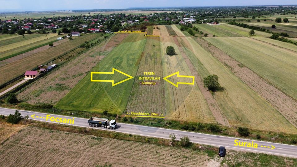 Land 6,000sqm Biliesti / DJ 204D