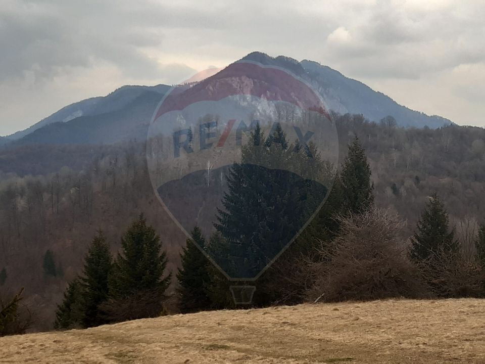 Teren Rasnov/ Soseaua Predealului DN73B