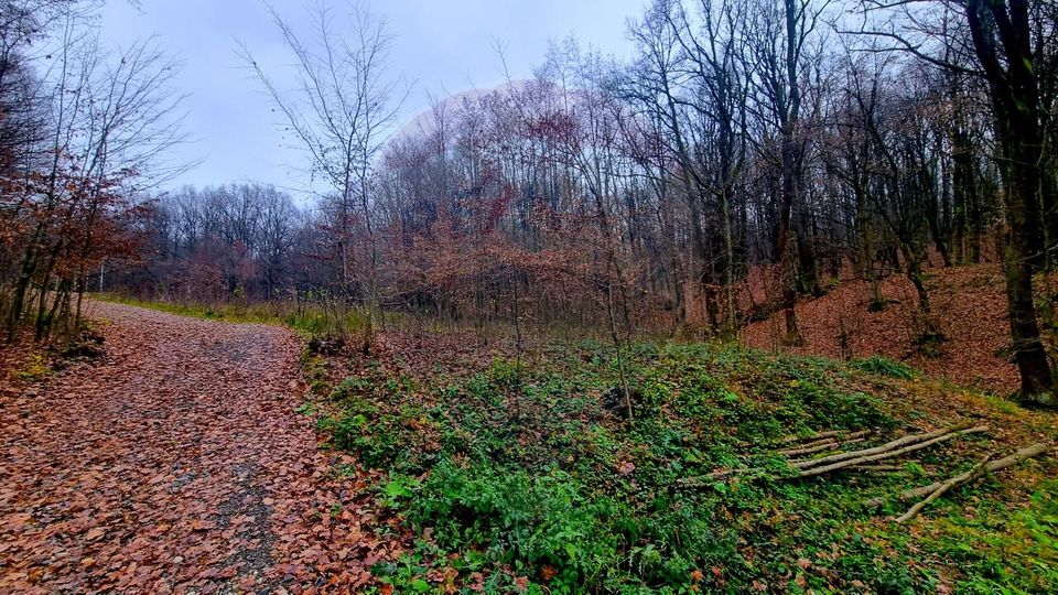 Land 924sqm Tautii-Magheraus / Strada Apa Sarata