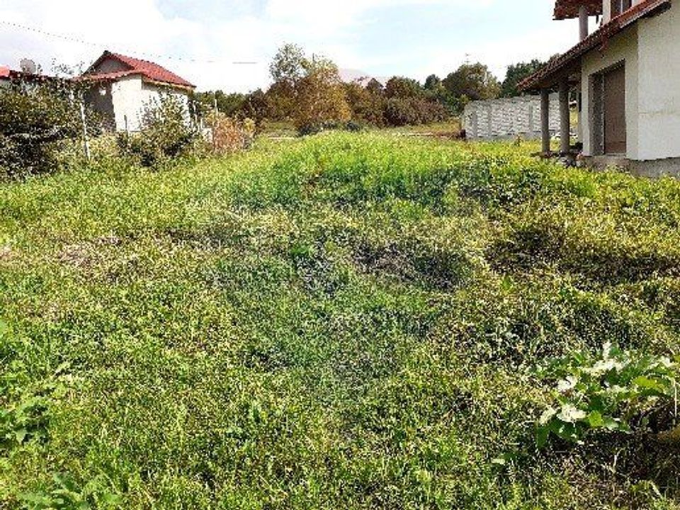 Land 4,756sqm Baia Sprie / Strada Crinului