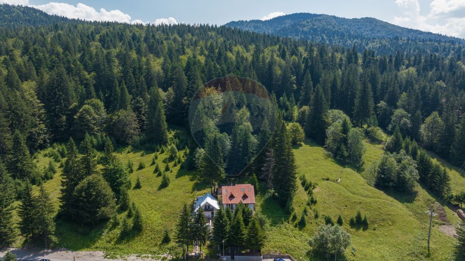 3 room House / Villa for sale, Malul Ursului area