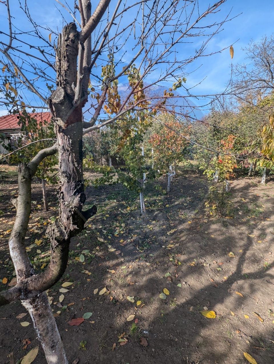 Casă / Vilă cu 5 camere de vânzare în zona Est