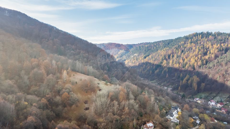 Teren Colinar Panoramic – 17.684 mp în Scheii Brașovului