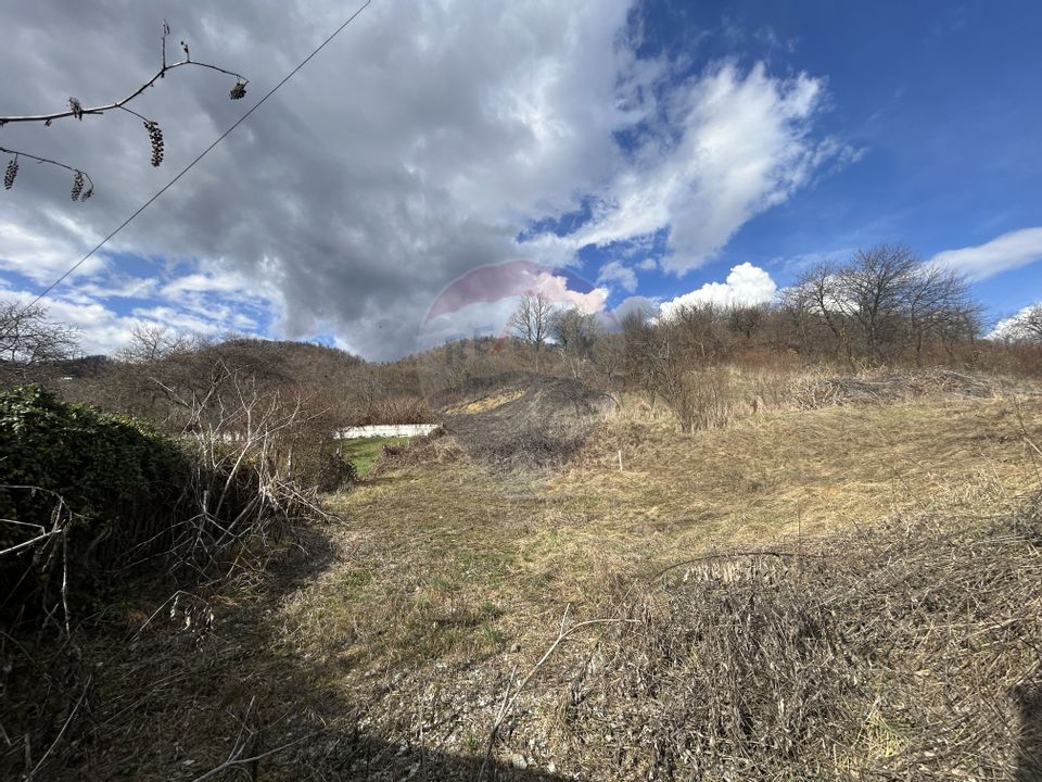 Teren 2,868mp /case/ duplexuri /Baia Mare / Strada Sanatatii Panoramic