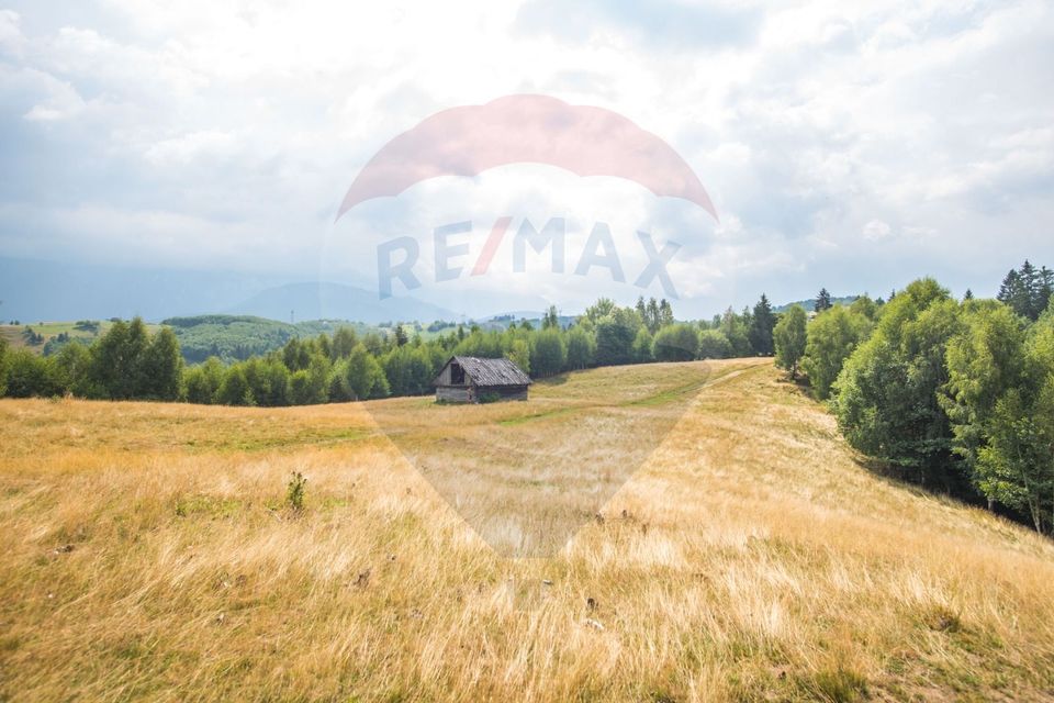 Teren extravilan Moieciu 45316mp