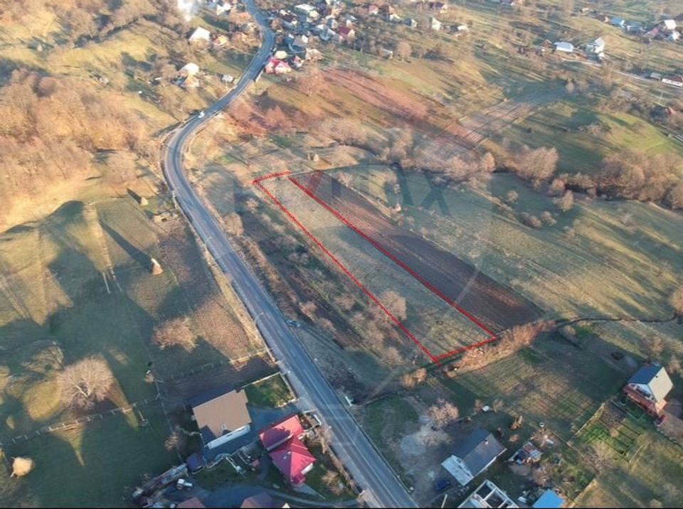 Land 3,156sqm Surdesti / Strada Principala