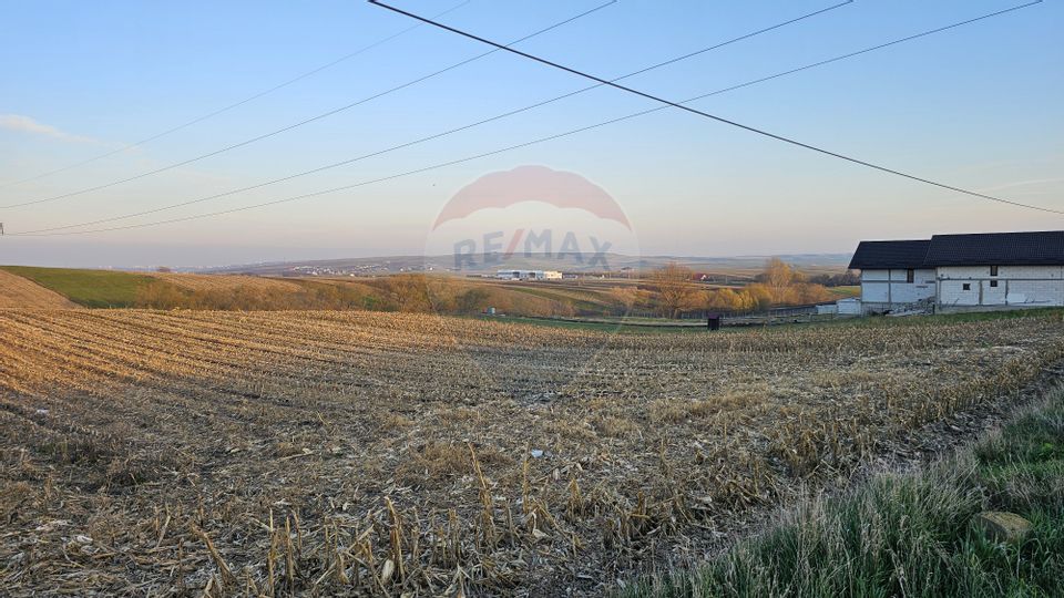 Teren Extravilan 2500 mp-Stroiesti, Suceava