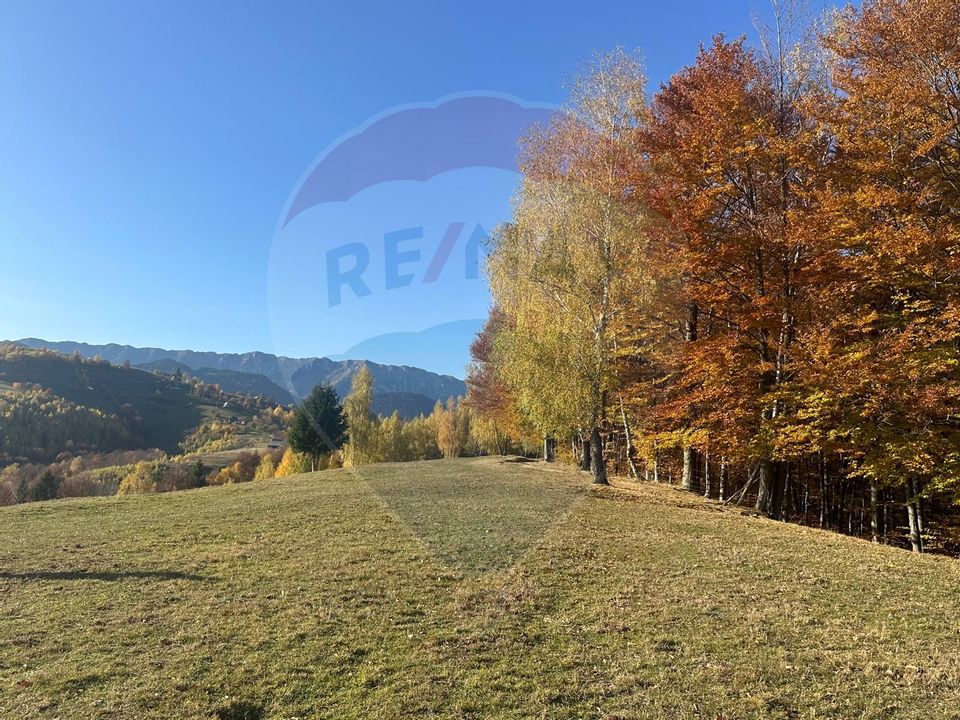 Investment opportunity ! Dream land in Pestera - 125,370 sqm