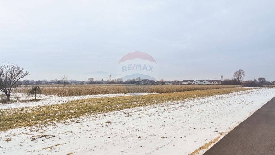 Oportunitate investițională – Teren intravilan 5.646 mp, Stupini